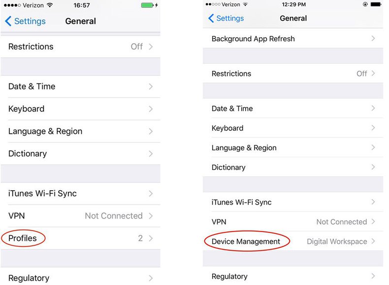 use two whatsapp on iPhone