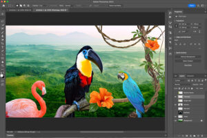 Adobe Photoshop