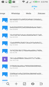 whatsapp media statuses shows here 